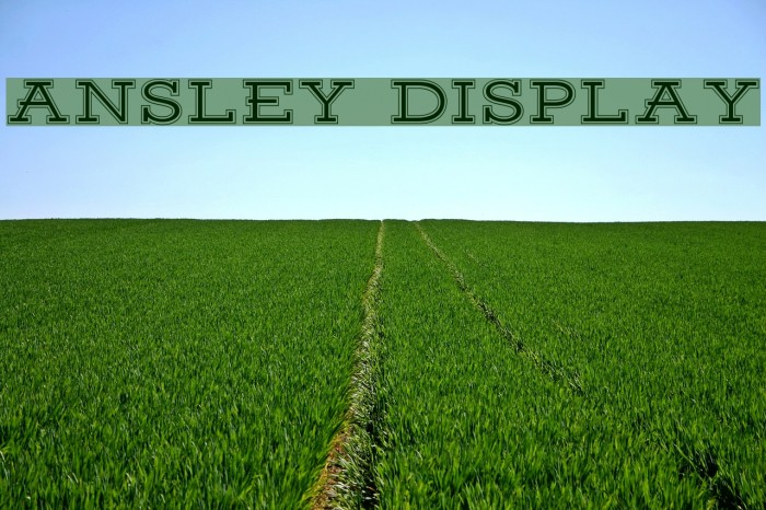 Ansley Display Example 3