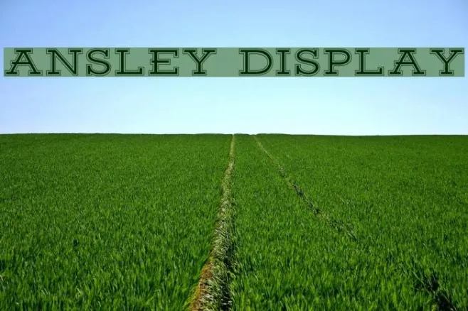 Ansley Display Example 3