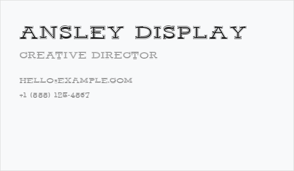 Ansley Display Business Card