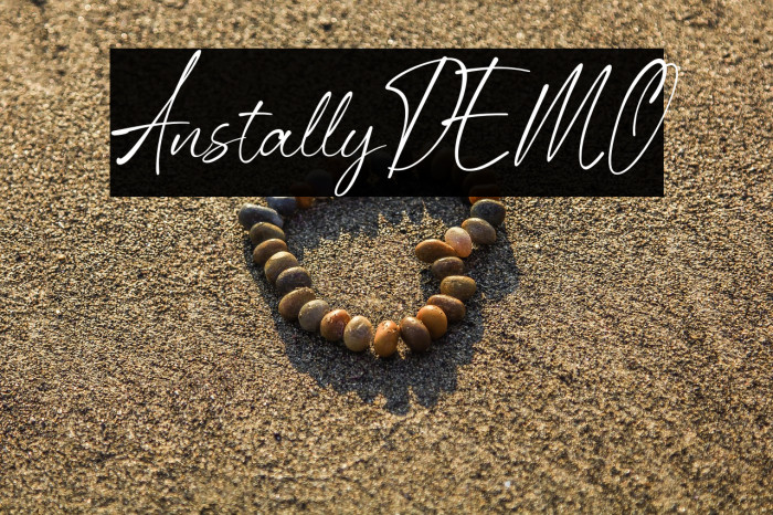 AnstallyDEMO Example 3