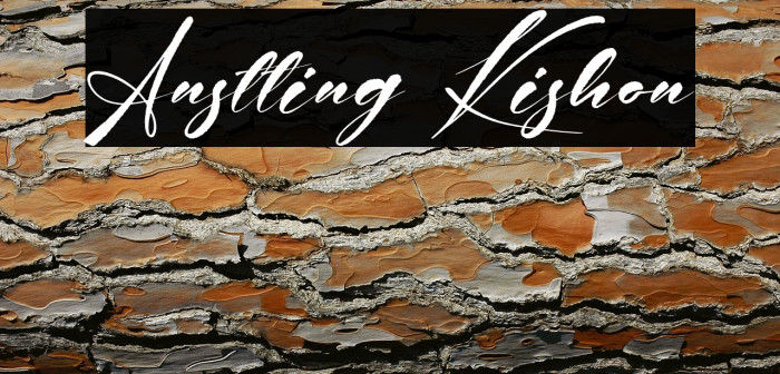 Anstting Kishon Example 1