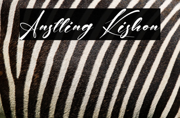 Anstting Kishon Example 3