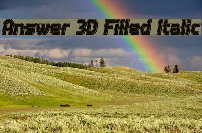 Answer 3D Filled Italic Example 2