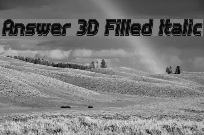 Answer 3D Filled Italic Font examples
