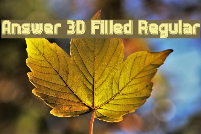 Answer 3D Filled Regular Font examples