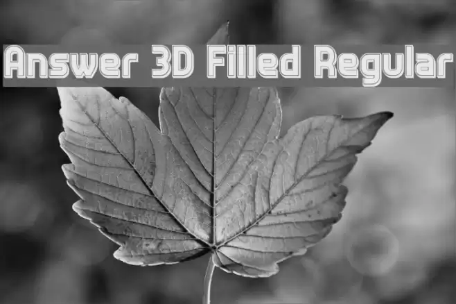 Answer 3D Filled Regular फ़ॉन्ट examples