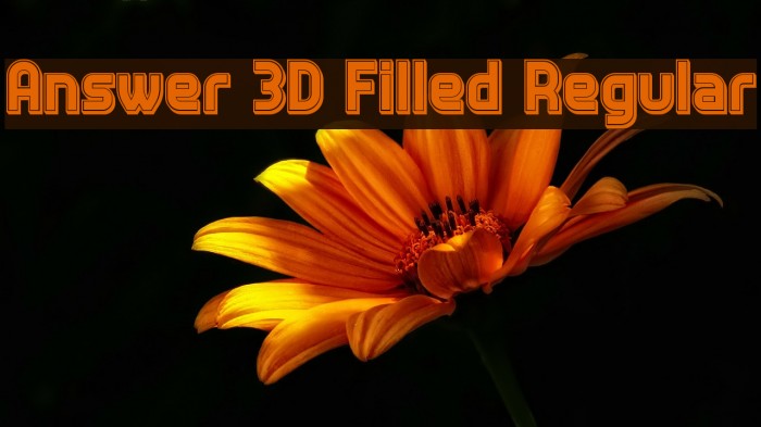Answer 3D Filled Regular Font examples