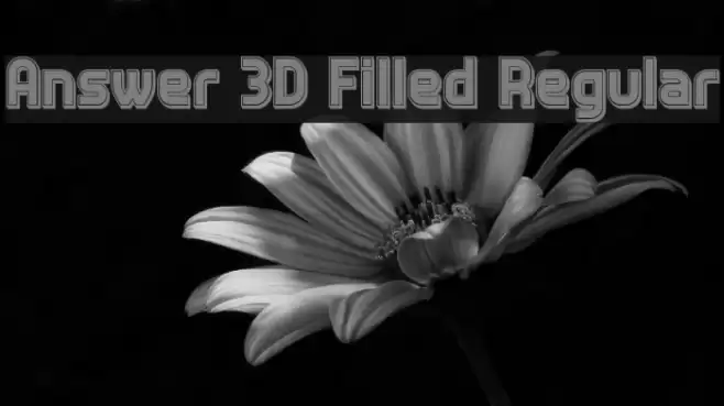 Answer 3D Filled Regular फ़ॉन्ट examples