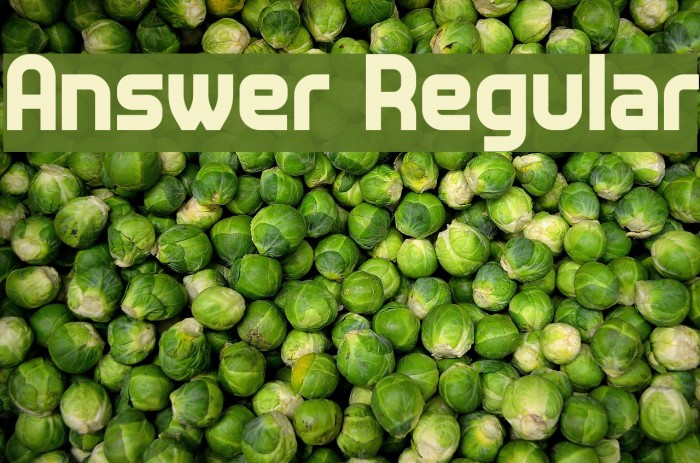 Answer Regular Font examples
