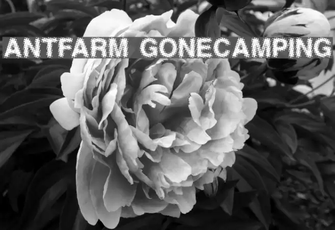 AntFarm GoneCamping Font examples