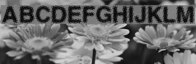 AntFarm Font examples