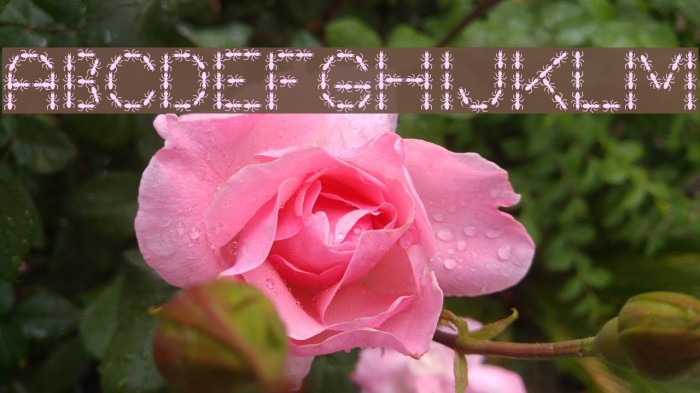 AntPile Font examples