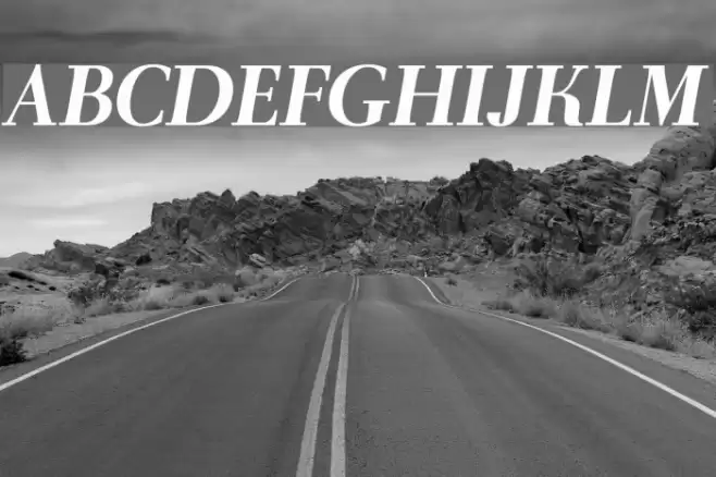 AntPolt-BoldItalic Font examples