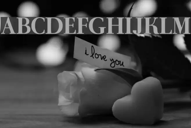 AntPolt-Bold Polices examples