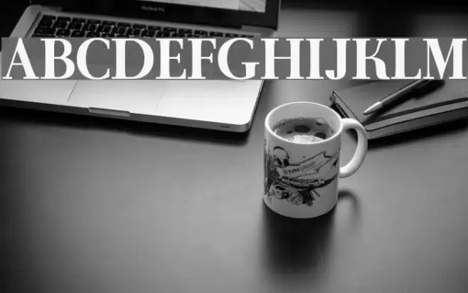 AntPolt-Bold Polices examples