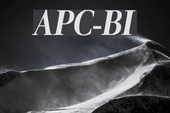 AntPoltCond-BoldItalic Font examples