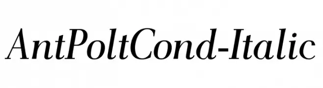 AntPoltCond-Italic 