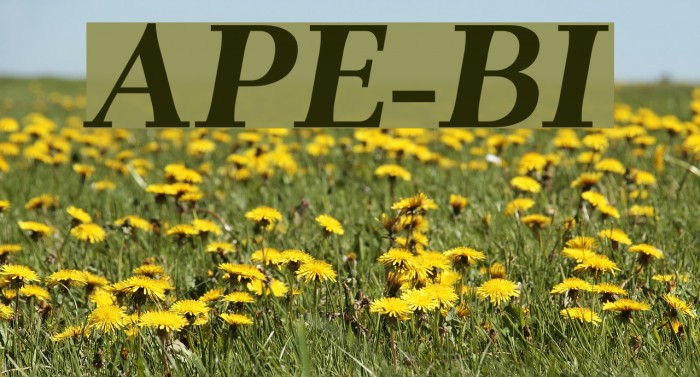 AntPoltExpd-BoldItalic Font examples