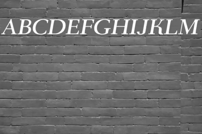 AntPoltExpd-Italic Schriftart examples