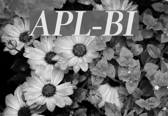 AntPoltLt-BoldItalic Font examples