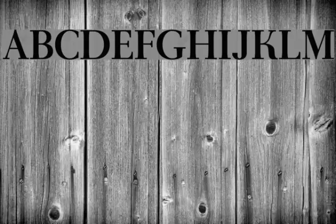 AntPoltLt-Bold Font examples