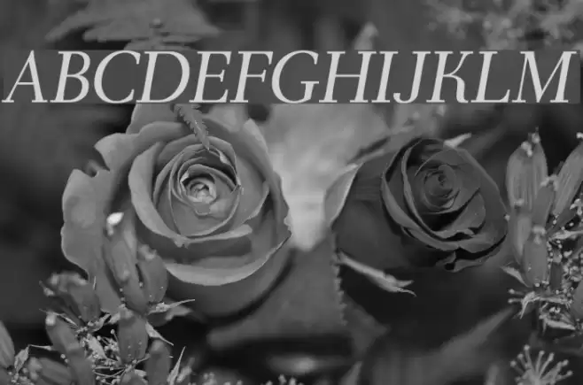 AntPoltLt-Italic Polices examples