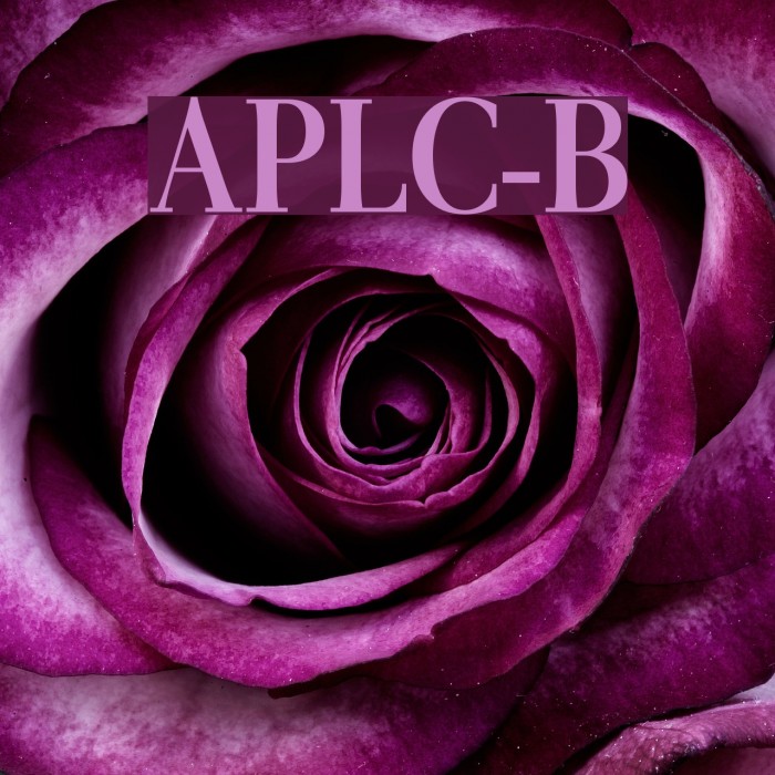 AntPoltLtCond-Bold Font examples