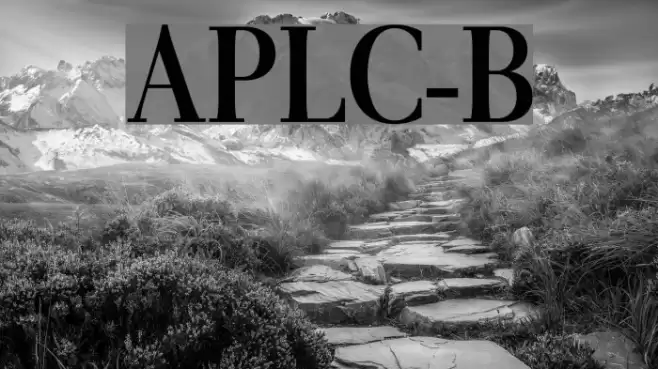 AntPoltLtCond-Bold Font examples