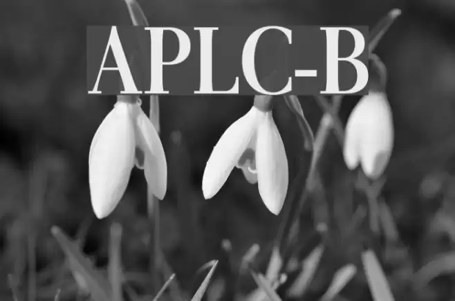 AntPoltLtCond-Bold Font examples