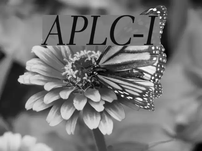 AntPoltLtCond-Italic Polices examples