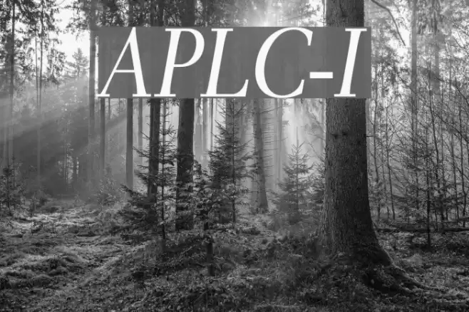 AntPoltLtCond-Italic Polices examples