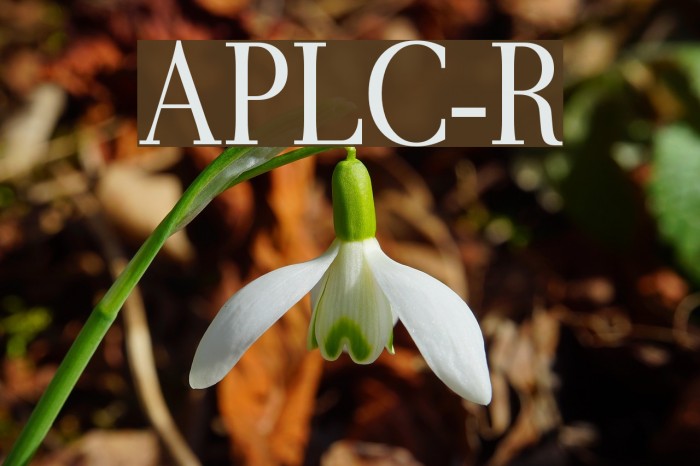 AntPoltLtCond-Regular Font examples