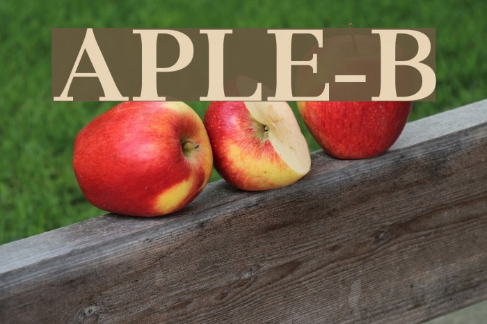 AntPoltLtExpd-Bold Font examples