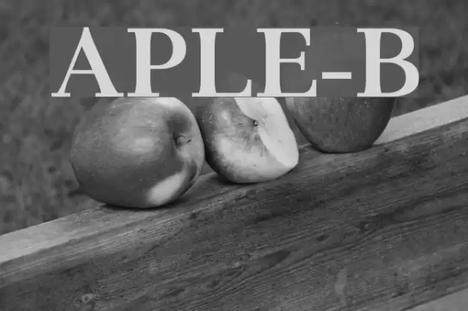 AntPoltLtExpd-Bold Fonte examples