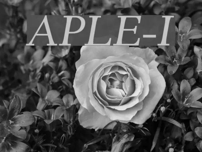 AntPoltLtExpd-Italic Polices examples