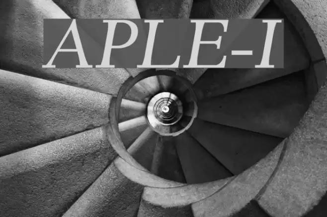 AntPoltLtExpd-Italic Polices examples