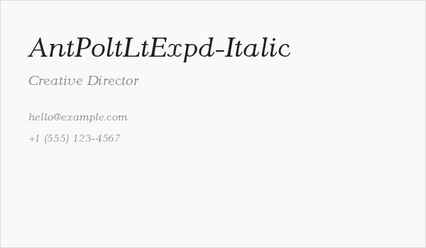 AntPoltLtExpd-Italic Business Card