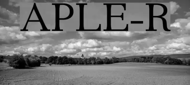 AntPoltLtExpd-Regular Polices examples