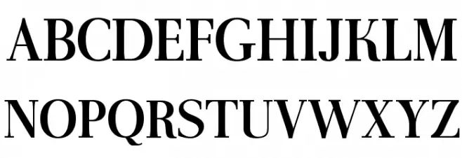 AntPoltLtSemiCond-Bold