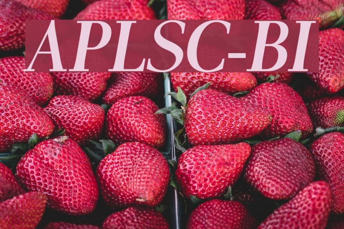 AntPoltLtSemiCond-BoldItalic Font examples