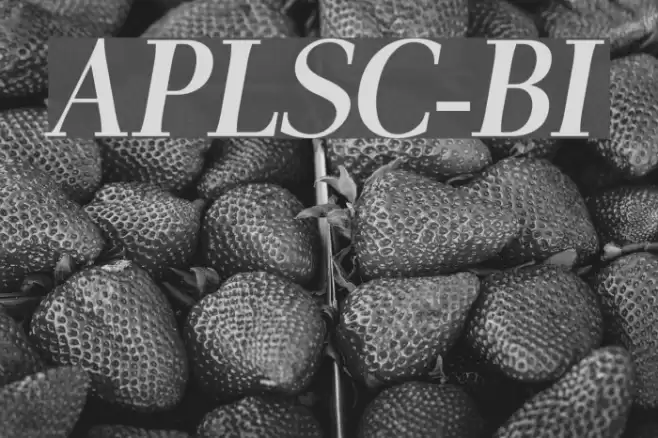 AntPoltLtSemiCond-BoldItalic examples
