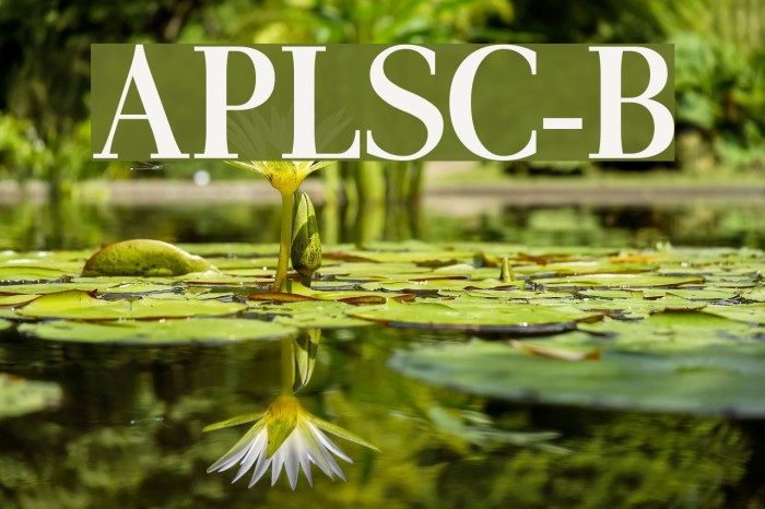 AntPoltLtSemiCond-Bold Font examples