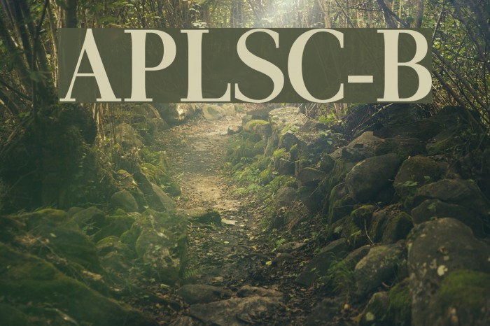 AntPoltLtSemiCond-Bold Font examples