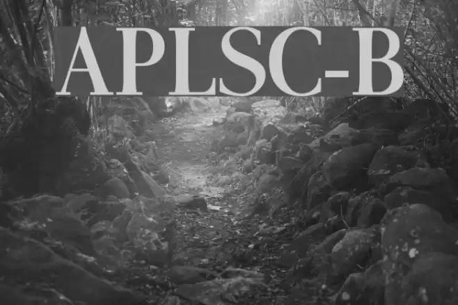 AntPoltLtSemiCond-Bold Polices examples