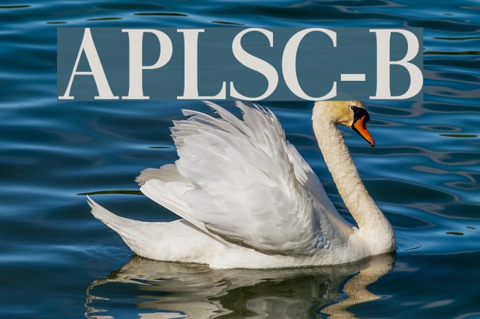 AntPoltLtSemiCond-Bold Font examples