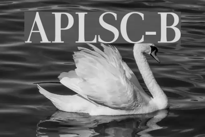 AntPoltLtSemiCond-Bold Polices examples