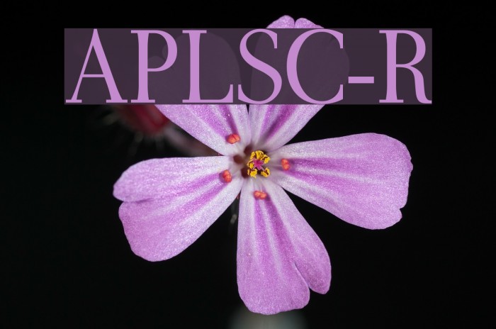 AntPoltLtSemiCond-Regular Font examples