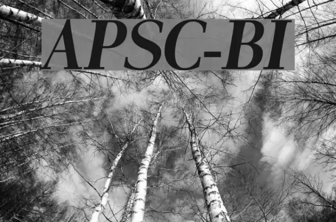 AntPoltSemiCond-BoldItalic Font examples