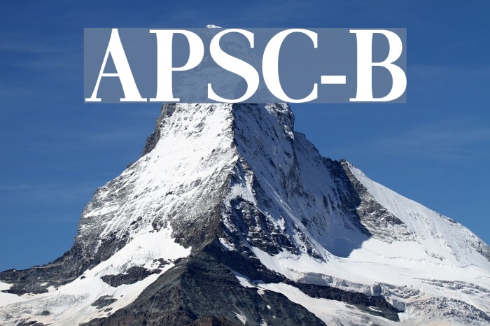 AntPoltSemiCond-Bold Font examples