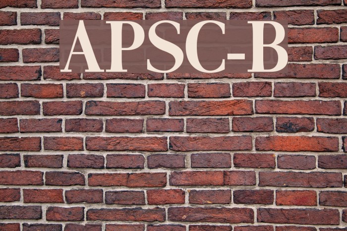 AntPoltSemiCond-Bold Font examples